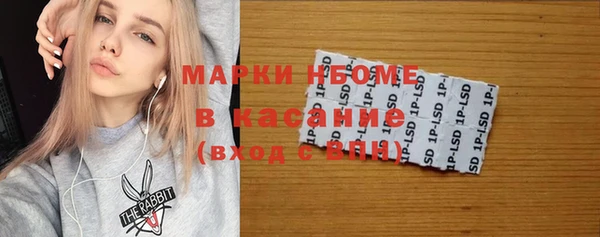 стафф Арсеньев