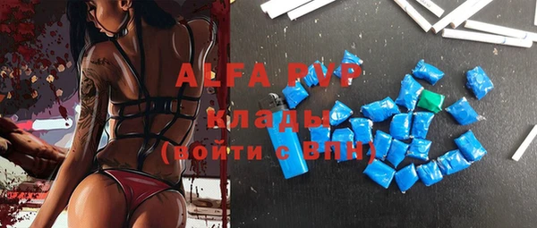 стафф Арсеньев