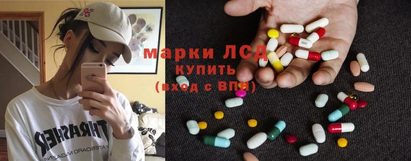 стафф Арсеньев
