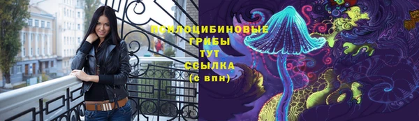 стафф Арсеньев